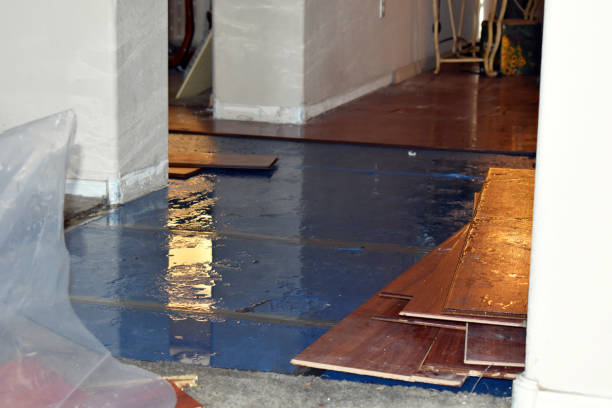 Professional Burst Pipe Cleanup technician working in Midlothian, TX